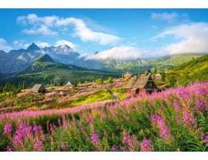 Puzzle Tatry Hala Gąsienicowa Castorland 1000el - image 2